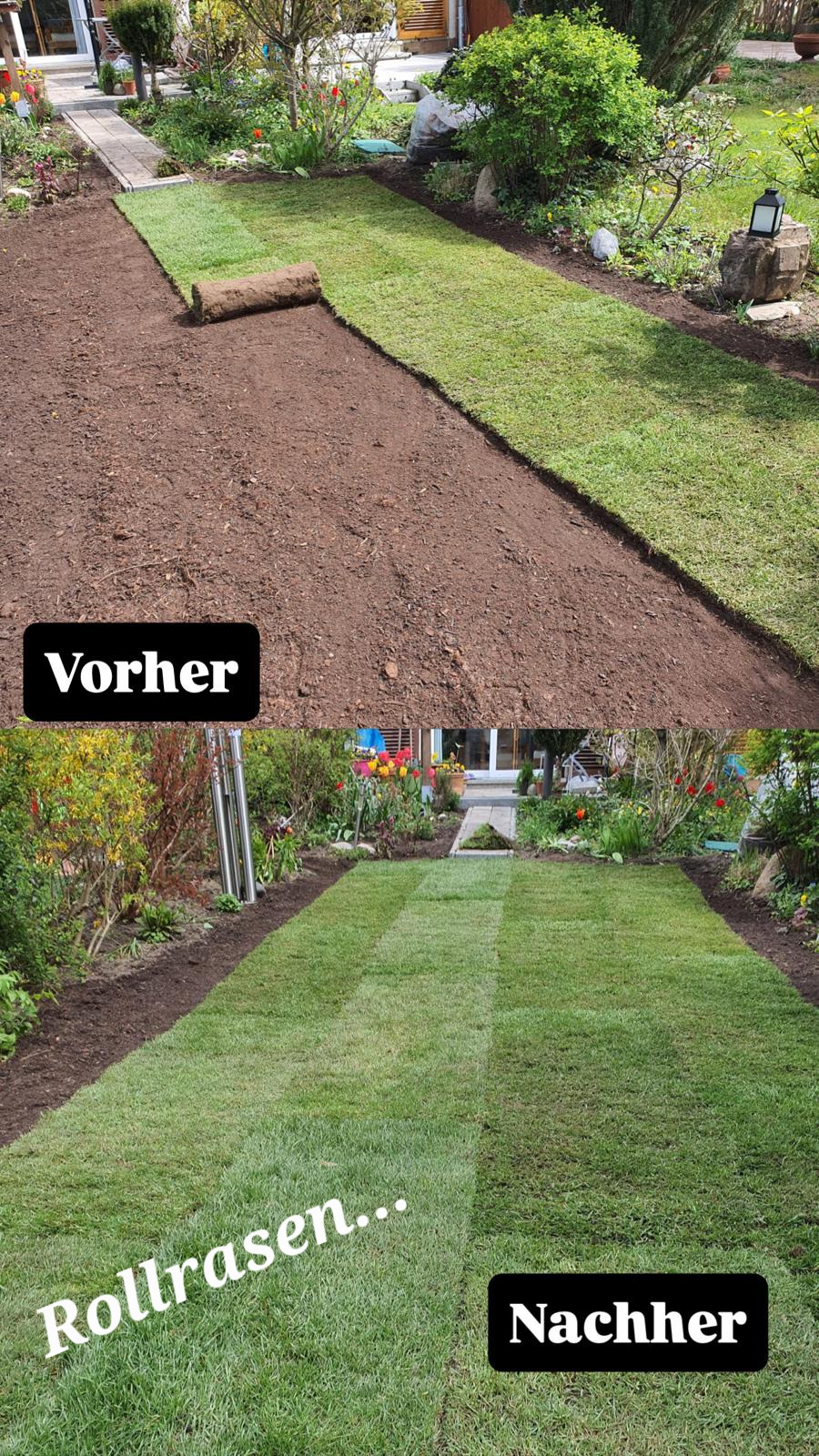 Professioneller Heckenschnitt und Strauchpflege im privaten Gartenbereich