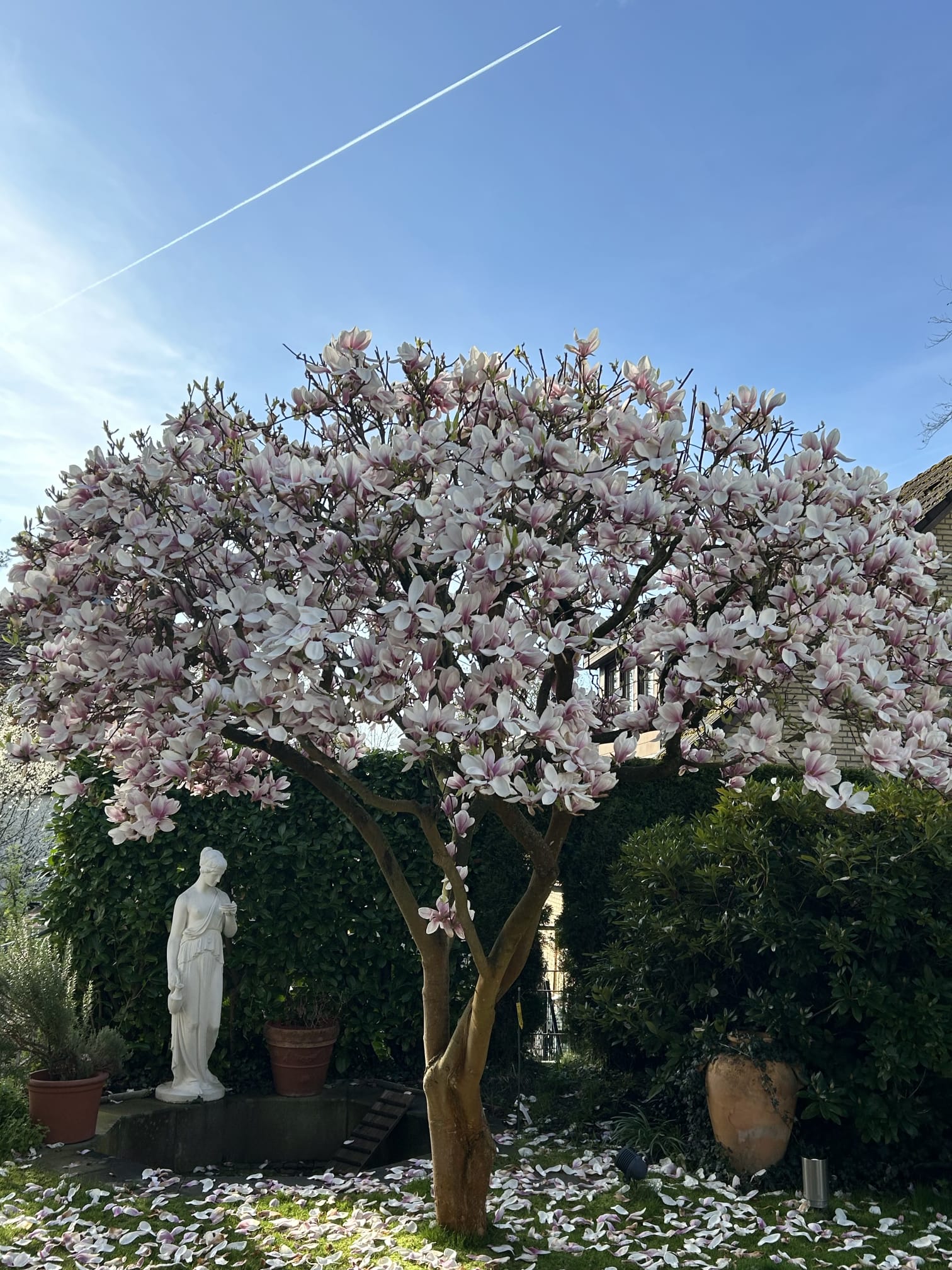 Saisonale Gartenreinigung: Laub harken und Grünschnittentsorgung nach dem Winter.