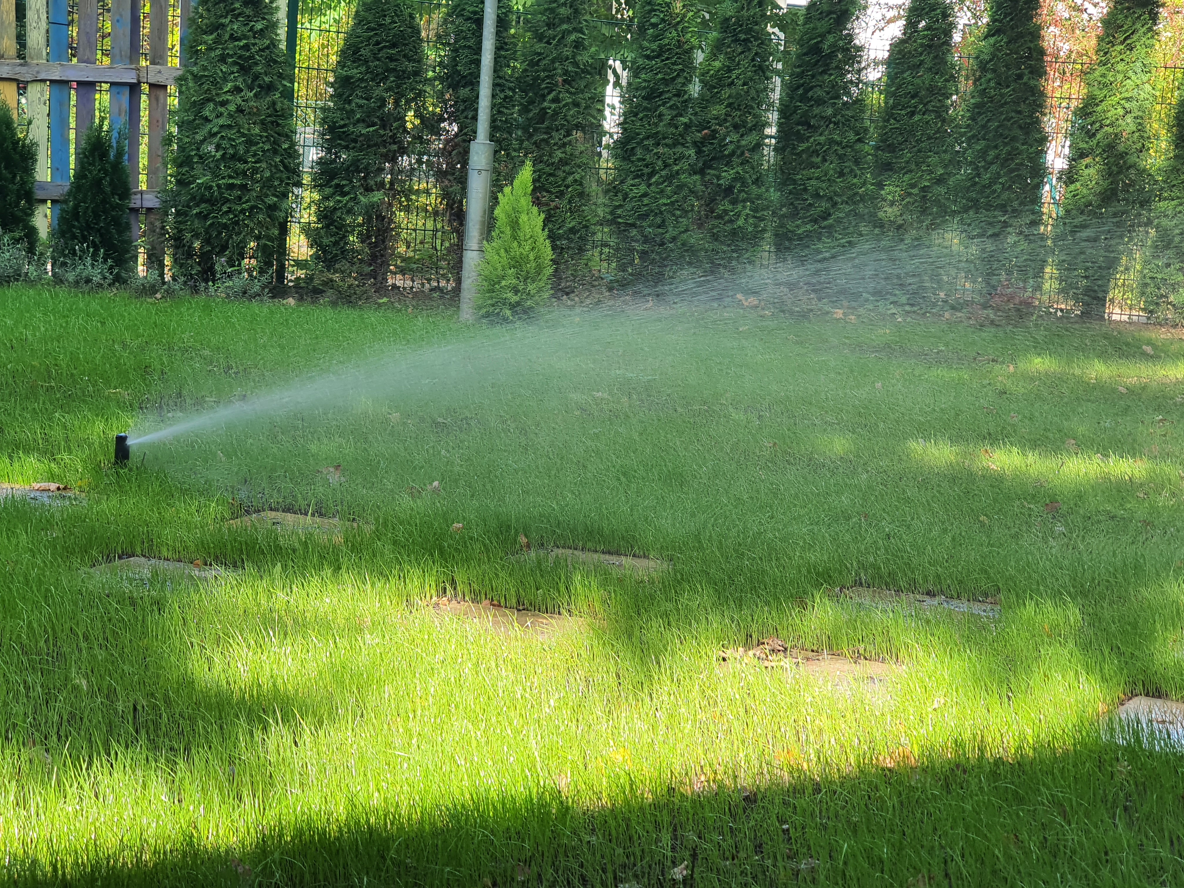 Versenksprinkler einer automatischen Bewässerung im Garten mit grünem Rasen und Plattenweg