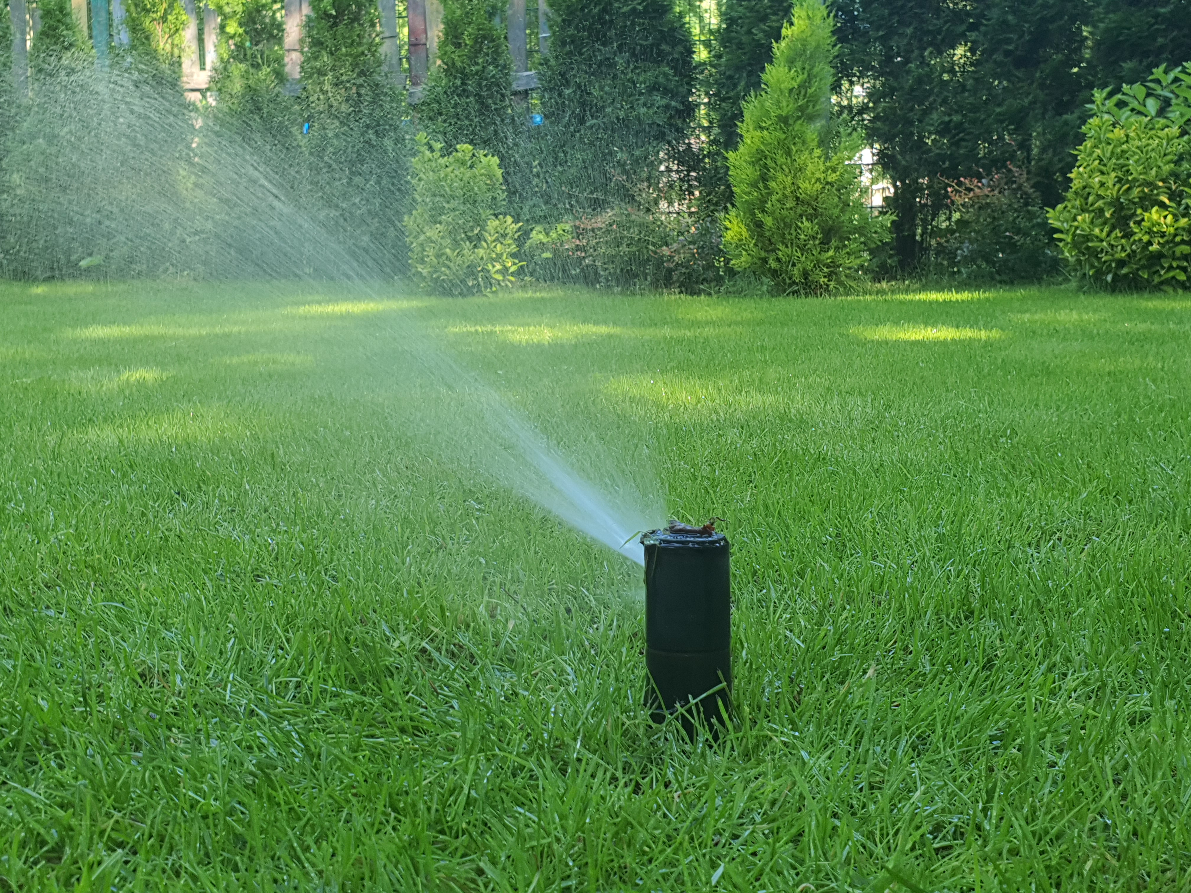 Versenksprinkler der automatischen Bewässerung von Rain Bird bewässert einen grünen Rasen
