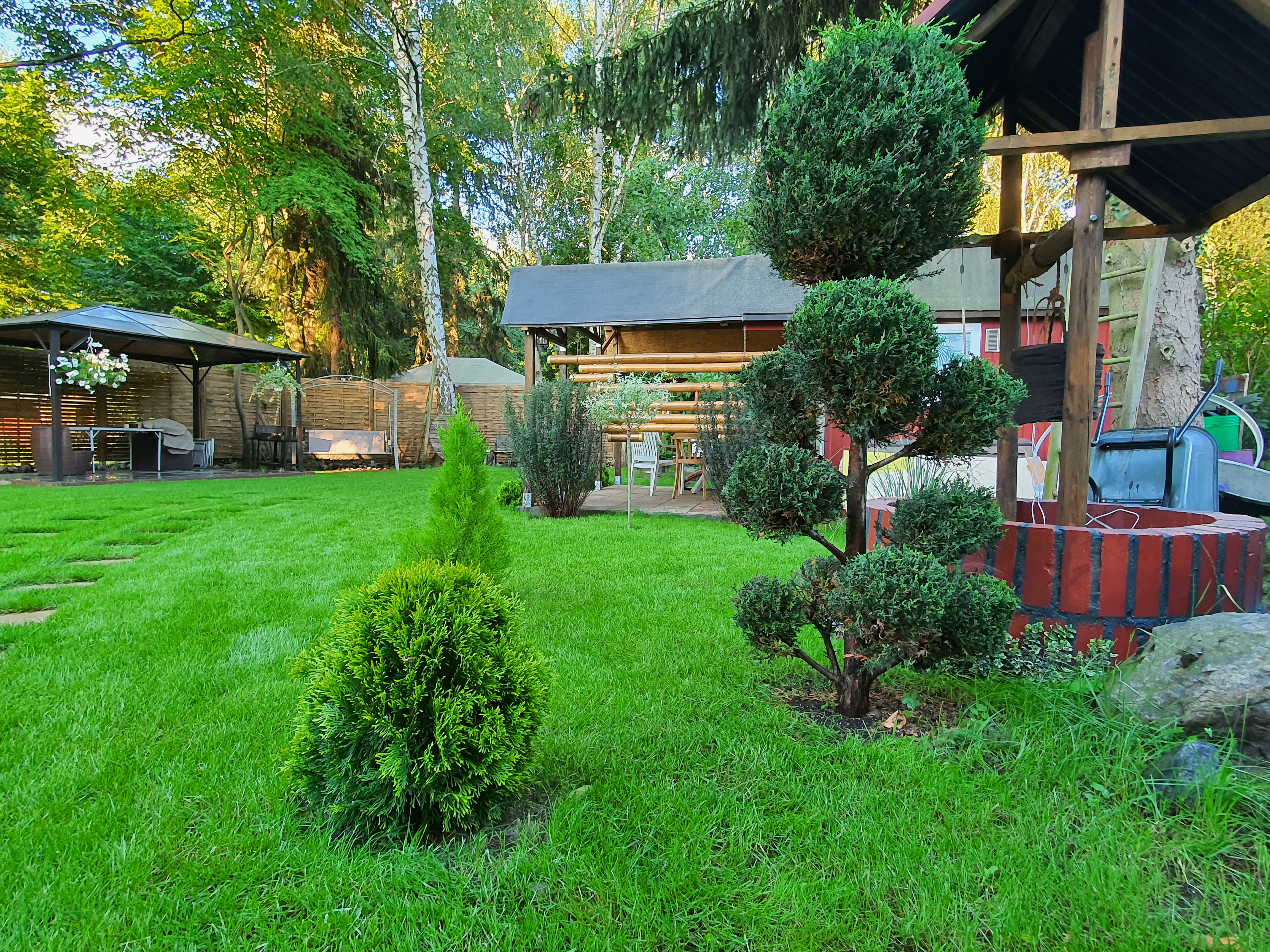 Versenksprinkler einer automatischen Bewässerung im Garten mit grünem Rasen und Plattenweg